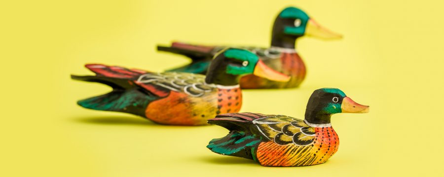 decoy-ducks